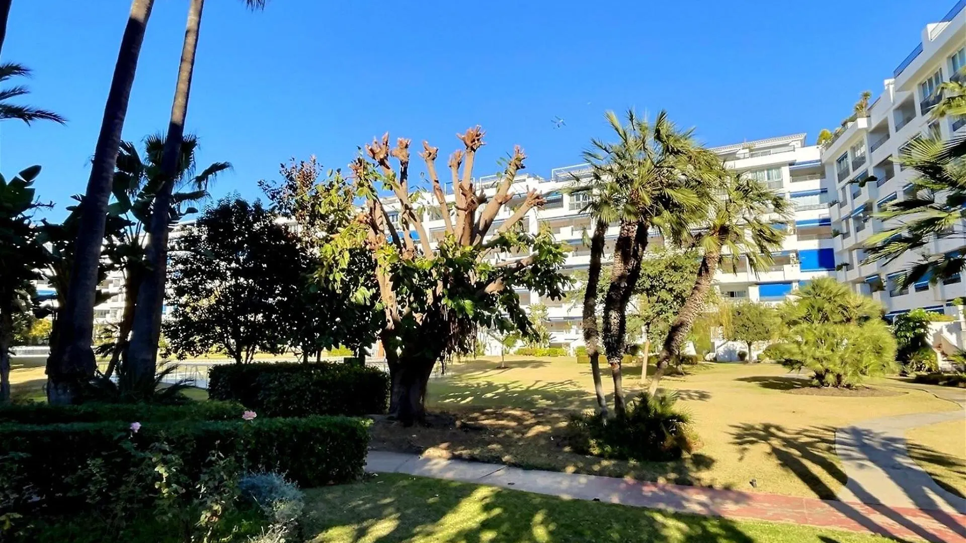 Harbour Heaven 2 Bed, 2 Bath Apartment Steps From Puerto Banus Marina And Beach Marbella 0*,  Španělsko